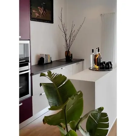 Luxuryflat 42 * בארי